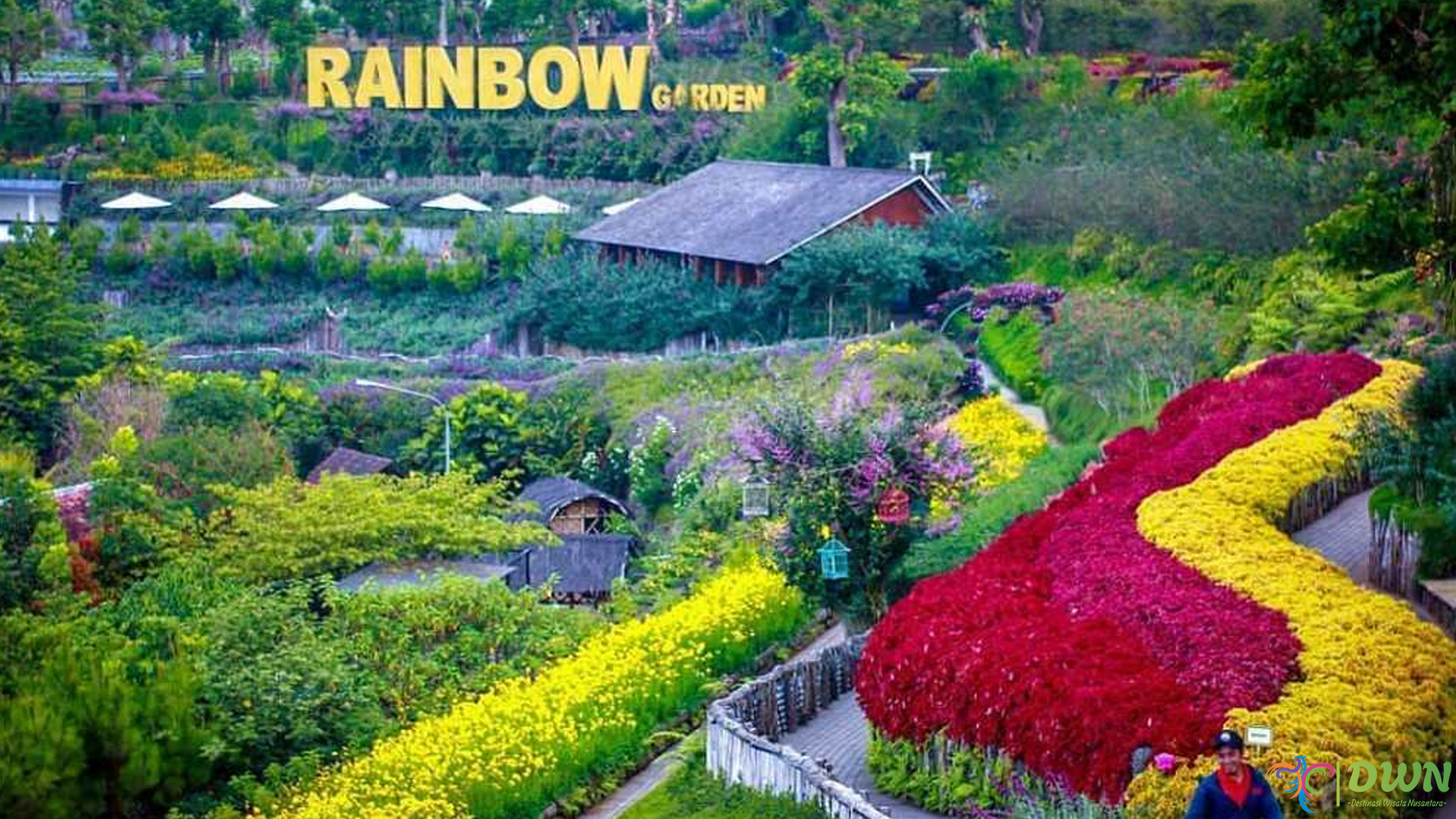 Keindahan Warna-warni Eksotis di Rainbow Garden Lembang