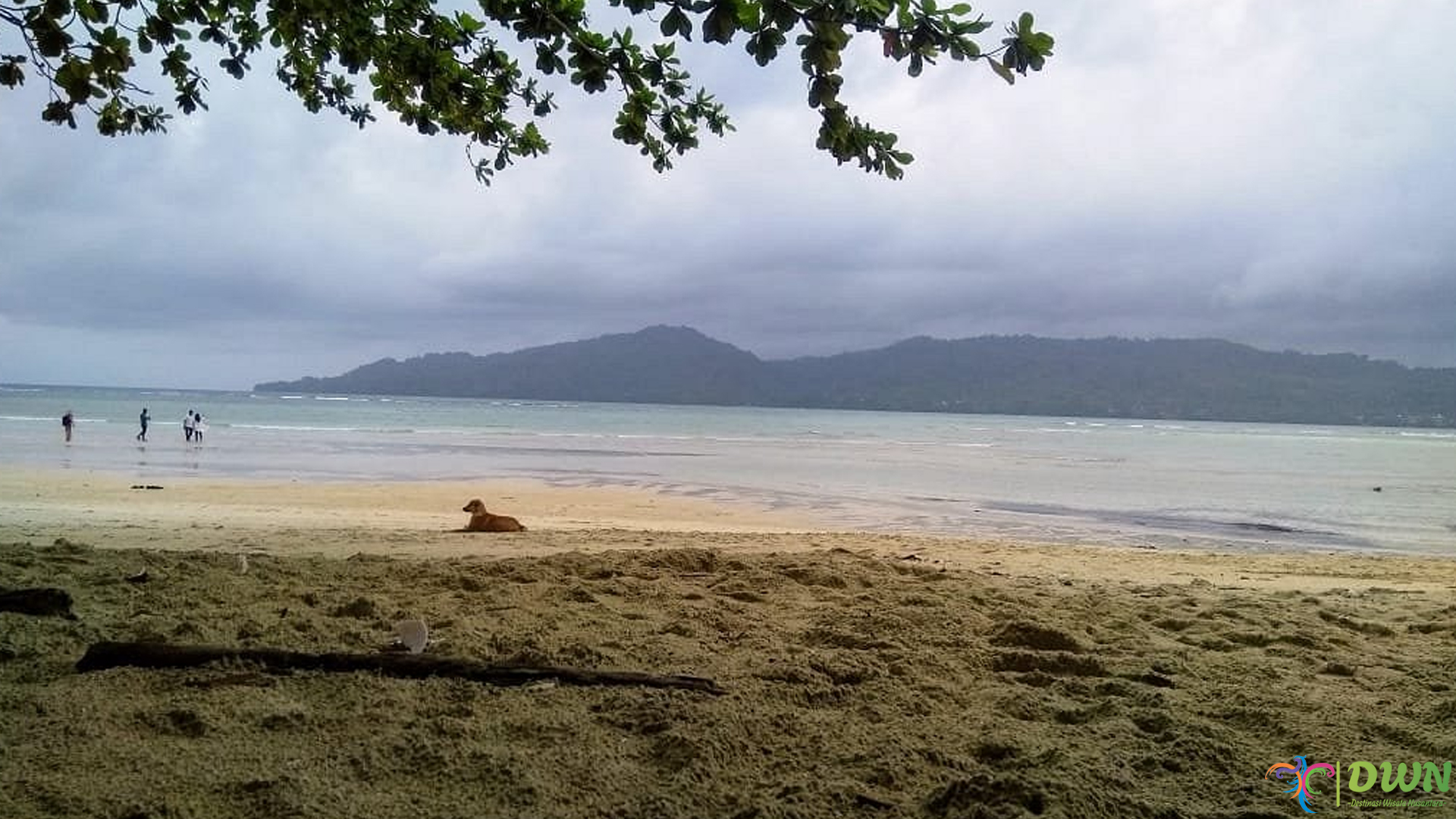 Pantai Sopapei: Rileksasi dan Keindahan Alam dalam Satu Tempat