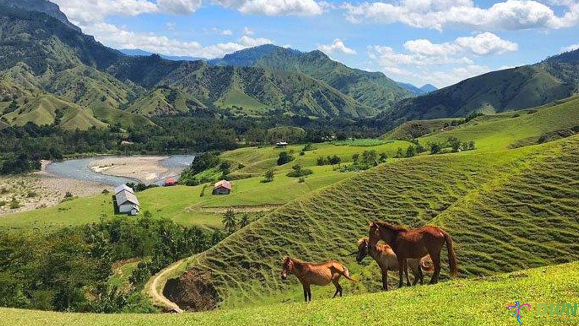 Ollon Toraja: Spot Liburan yang Bikin Rindu Pulang Kampung