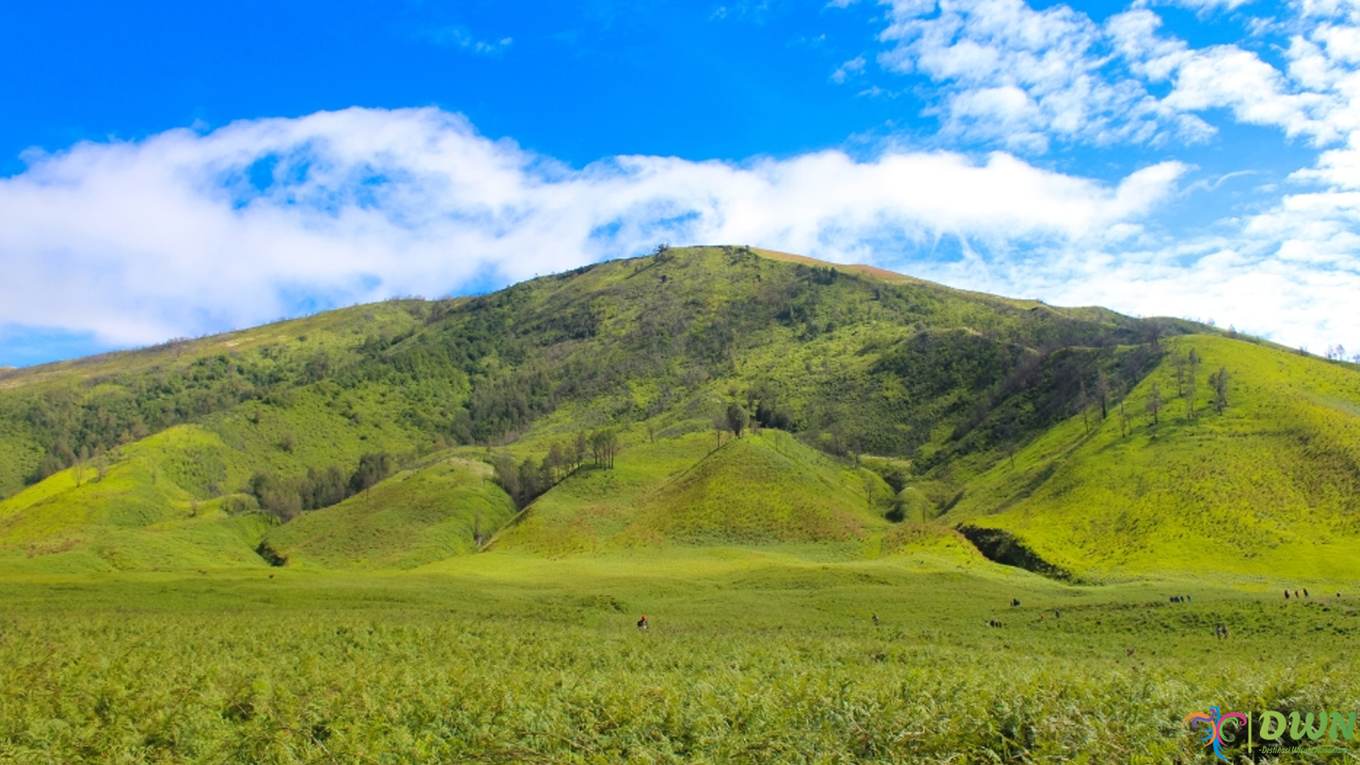 Rasakan Kedamaian Wisata Bukit Teletubbies, Oase Hijau di Kota