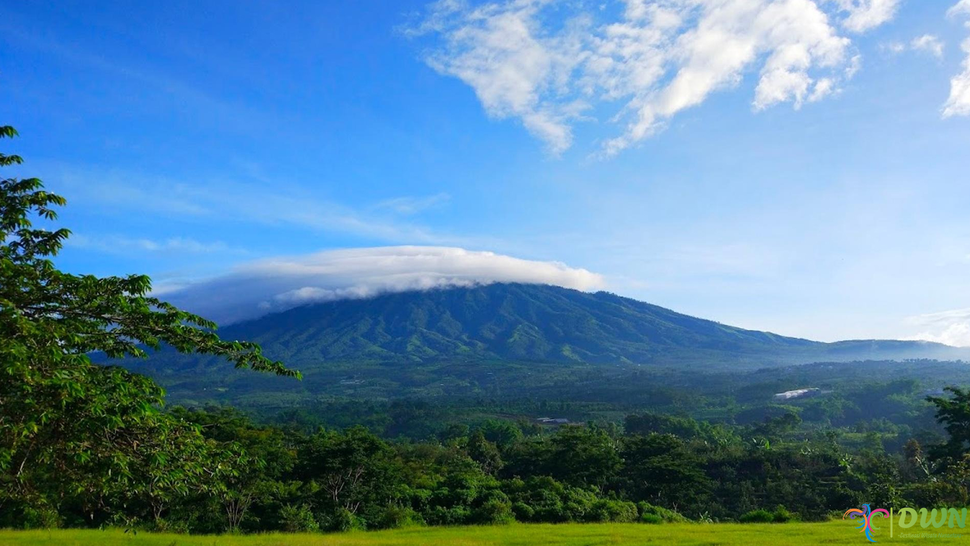 Bukit Teletubbies Batu: Tempat Asyik Buat Santai & Hunting Foto2