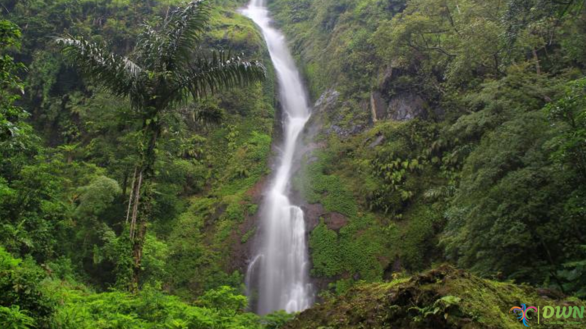 Melangkah ke Curug Cibareubeuy, Nikmati Alam yang Murni