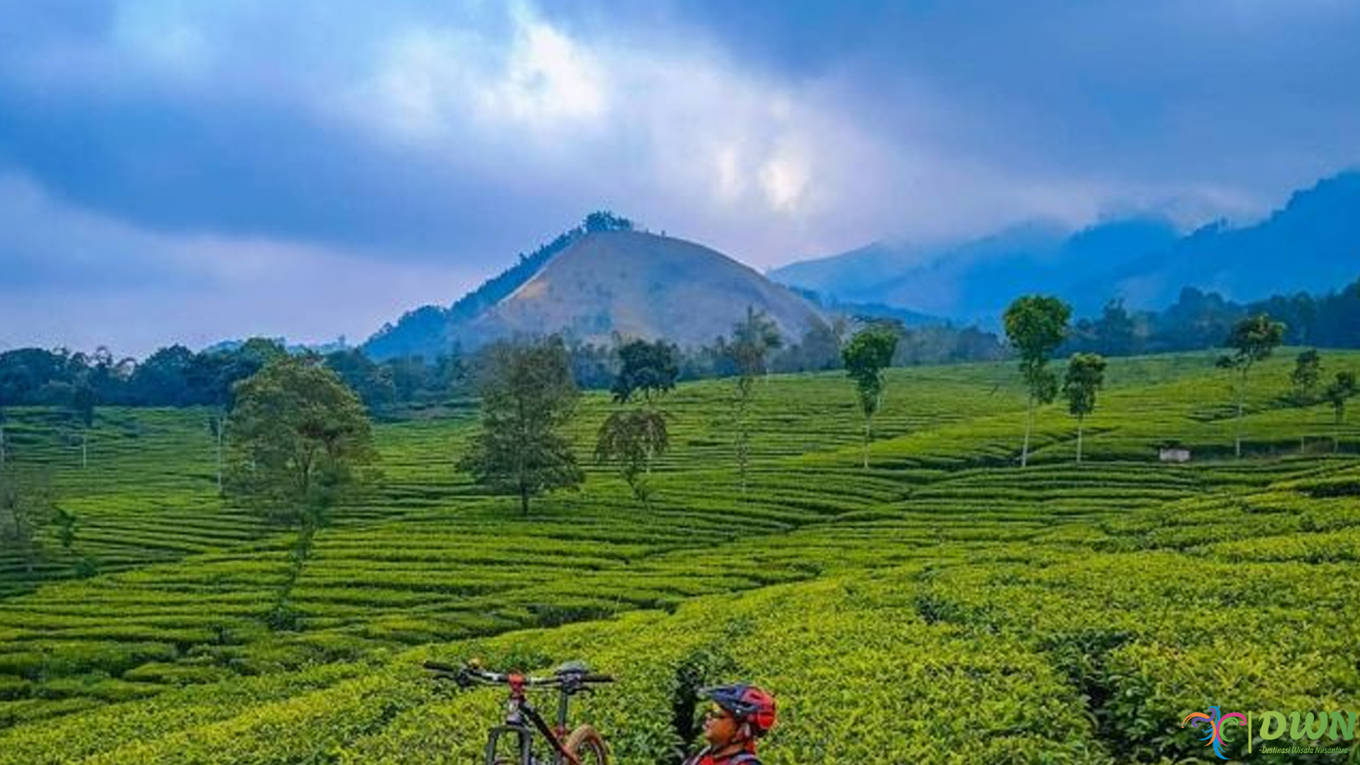 Santai Maksimal dengan 6 Aktivitas Seru dan Asik di Teh Wonosari