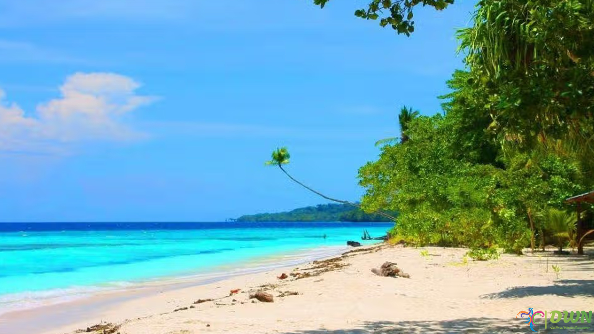 Pantai Anggopi: 5 Alasan Destinasi Ini Jadi Populer Pecinta Pantai