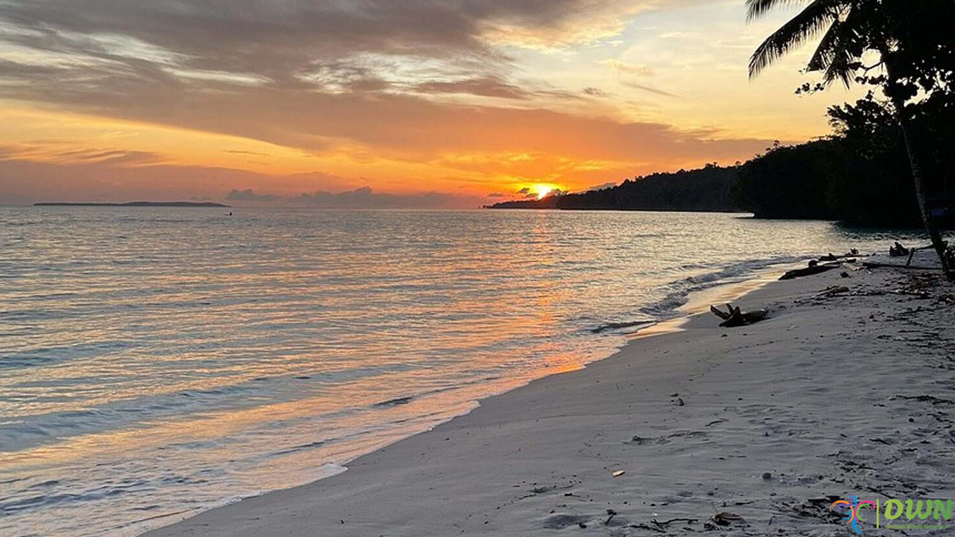 Pantai Anggopi: 5 Alasan Destinasi Ini Jadi Populer Pecinta Pantai