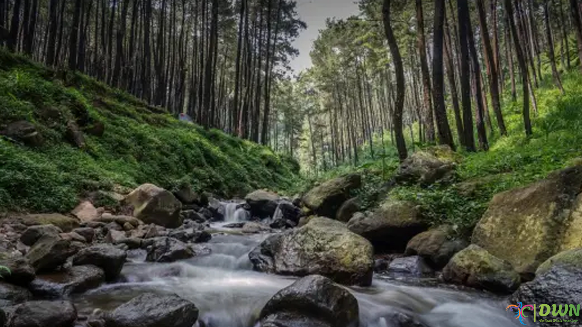 Wisata Klurak Eco Park 4 Aktivitas Outdoor yang Wajib Dicoba