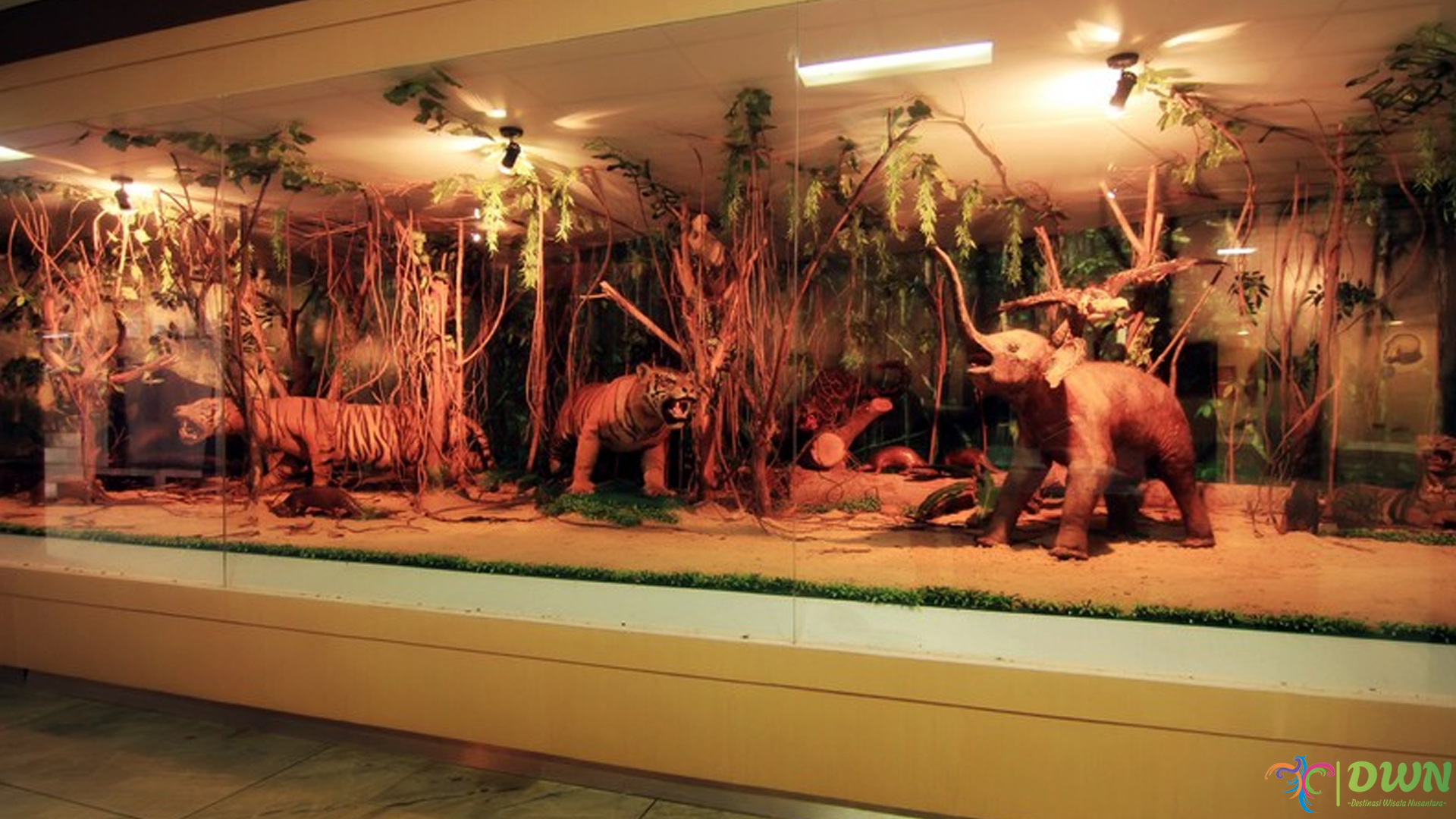 Wisata Museum Lampung Tersimpan dalam 4 Koleksi Ikonik