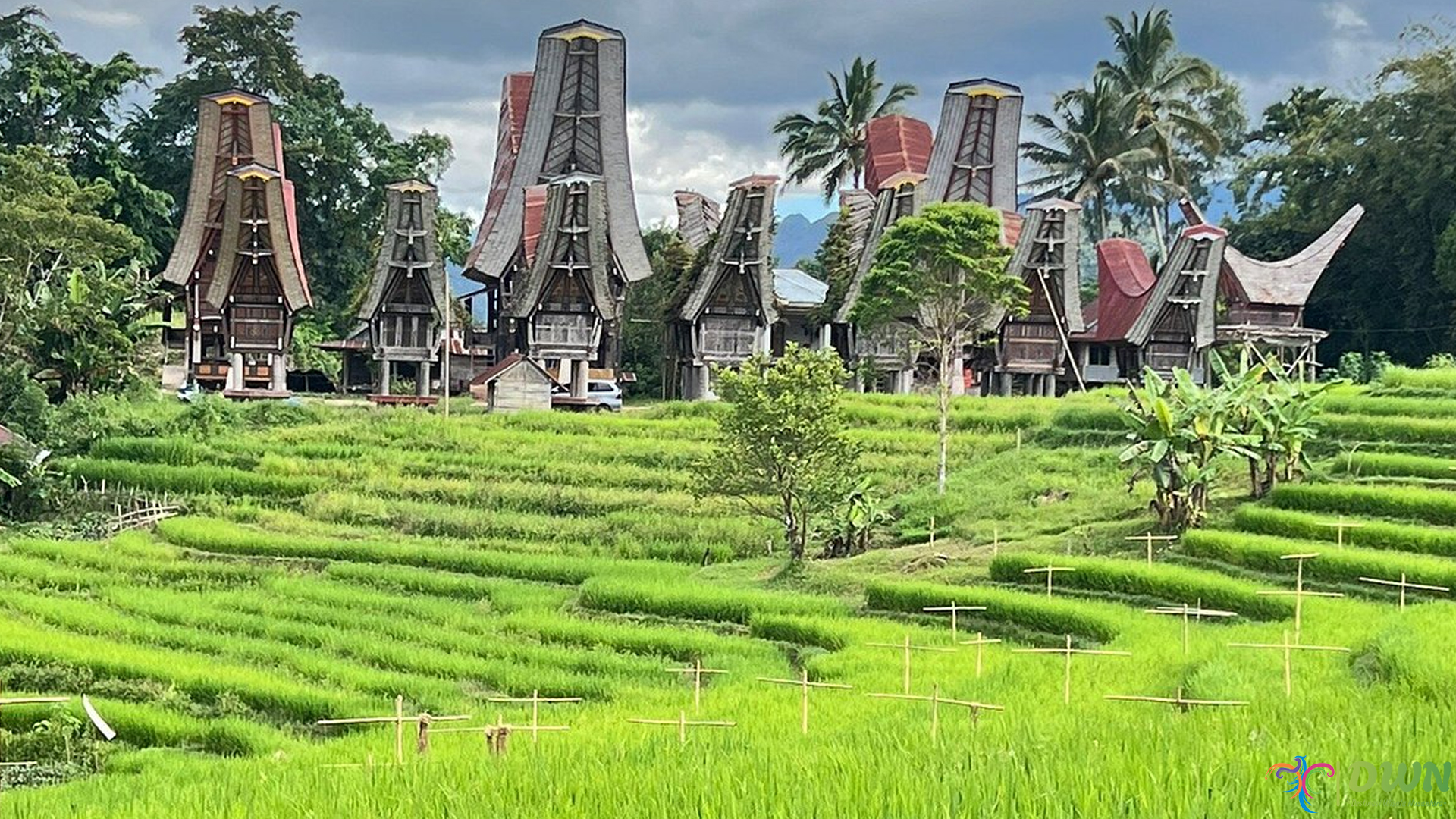 Wisata Toraja Tour Guide bersama 5 Rekomendasi Destinasi Wajib