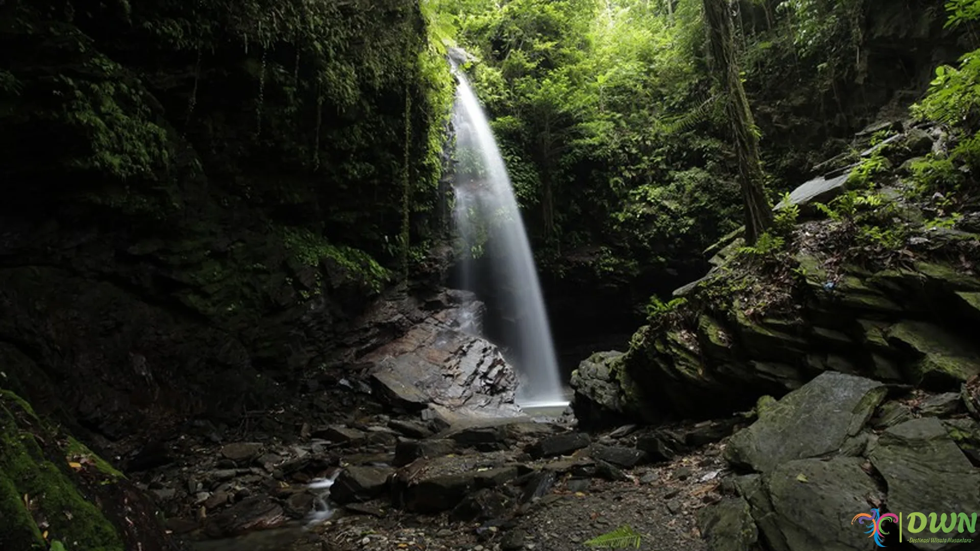 Air Terjun Waisia: 5 Keindahan Alam yang Wajib Kamu Jelajahi