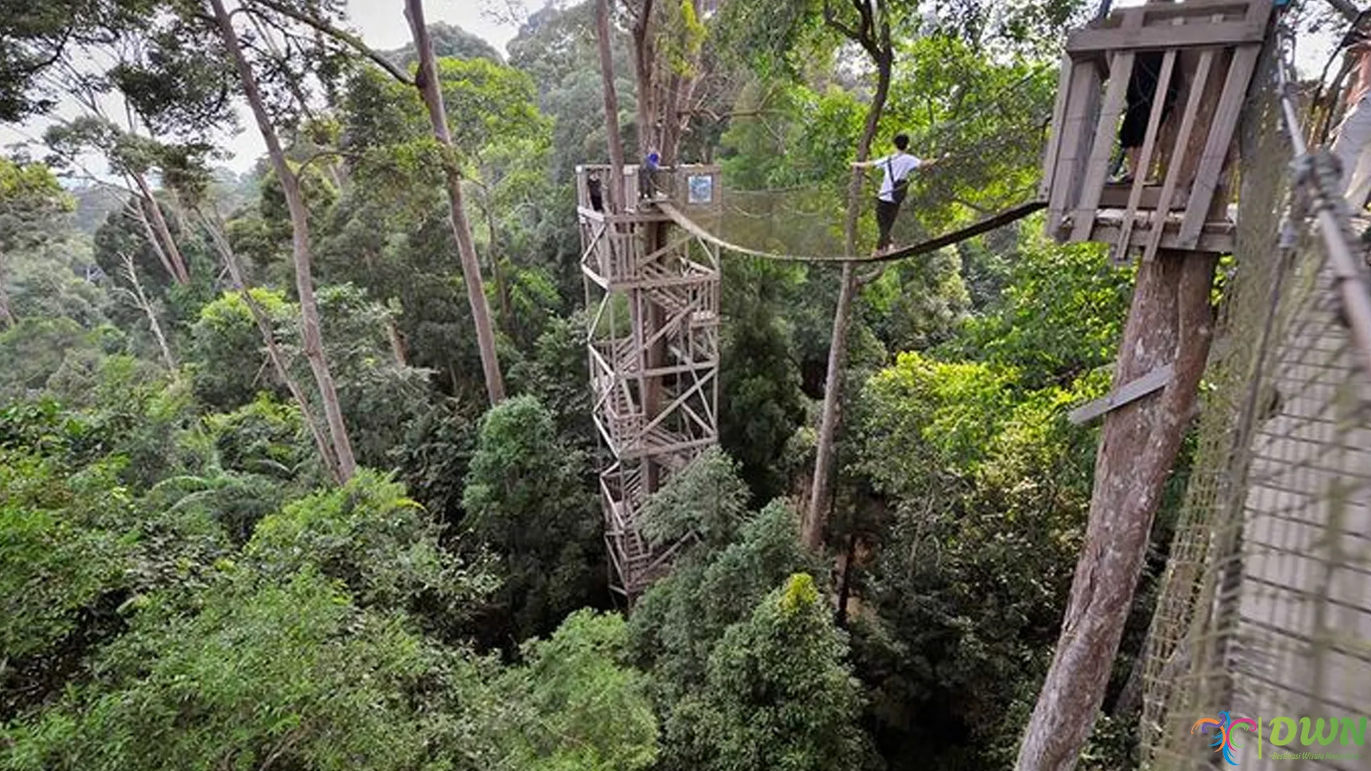 Bukit Bangkirai: 4 Keistimewaan yang Wajib Kamu Nikmati
