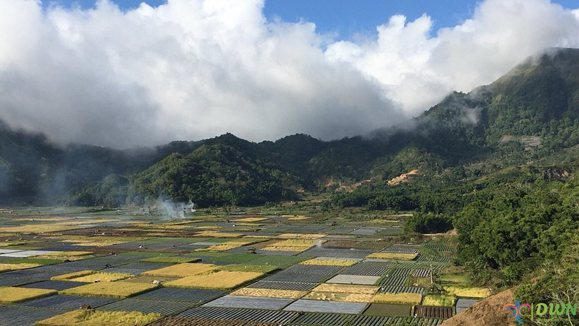 Bukit Selong: 5 Spot Terbaik untuk Menikmati Pemandangan Alam