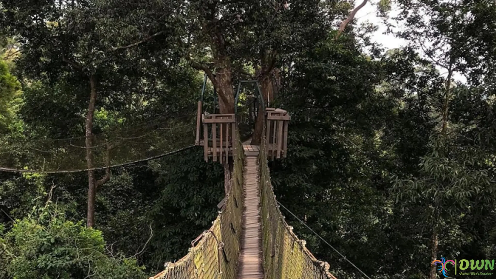 Bukit Bangkirai: 4 Keistimewaan yang Wajib Kamu Nikmati