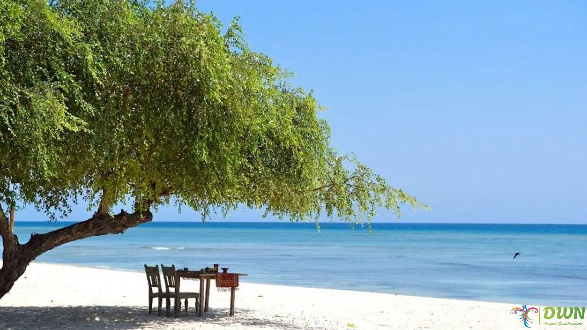 5 Keunggulan Pantai Sire yang Bikin Wisatawan Betah Berlama-lama