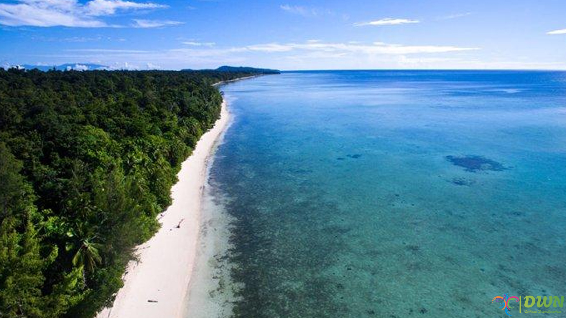 5 Hal Menarik Tentang Kehidupan Laut di Pulau Rumberpon