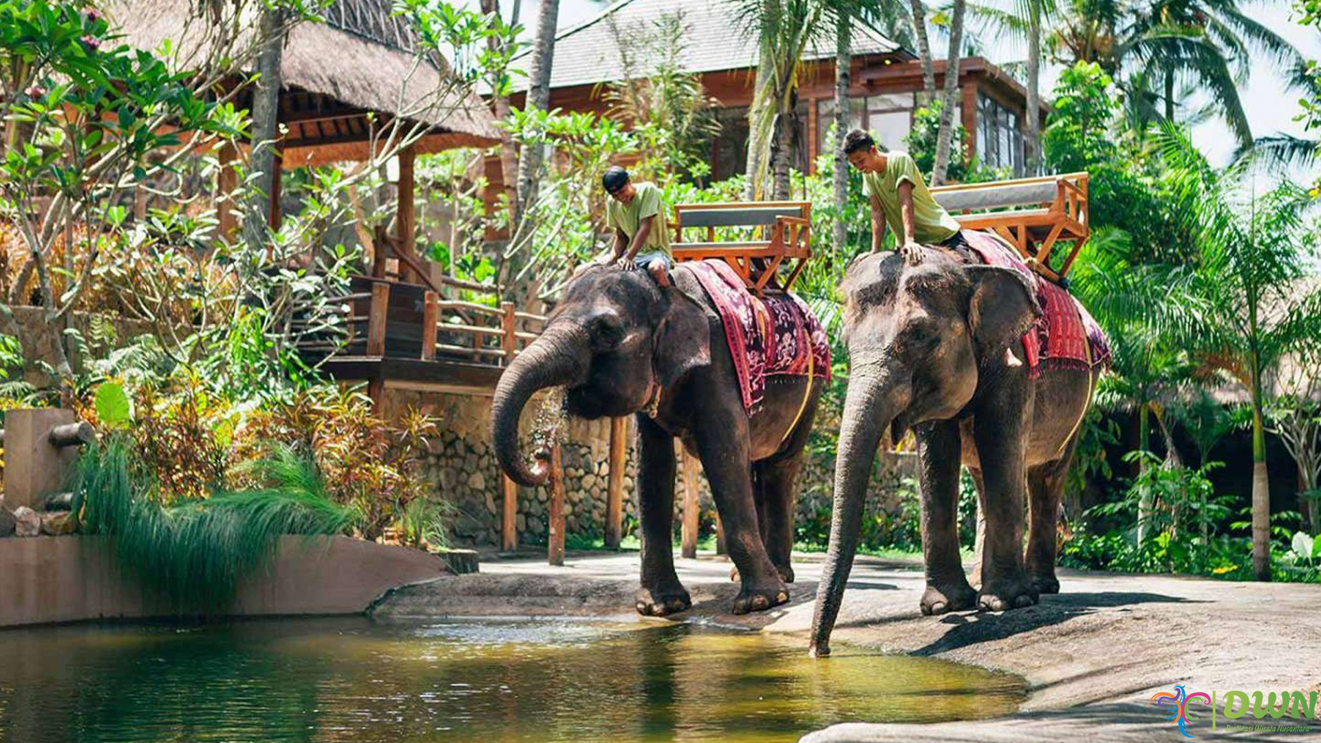 Lombok Wildlife Park dan 5 Satwa Langka yang Wajib Dilihat
