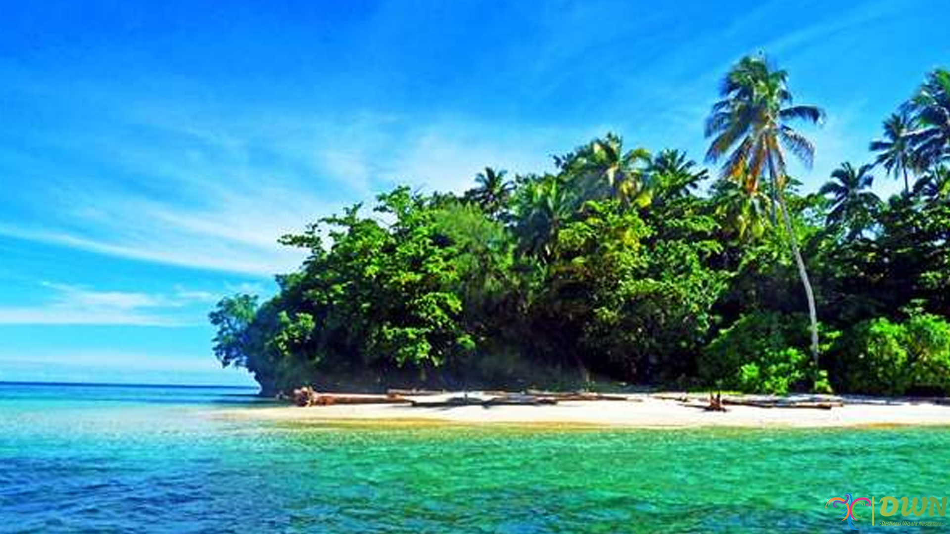 5 Hal Menarik Tentang Kehidupan Laut di Pulau Rumberpon