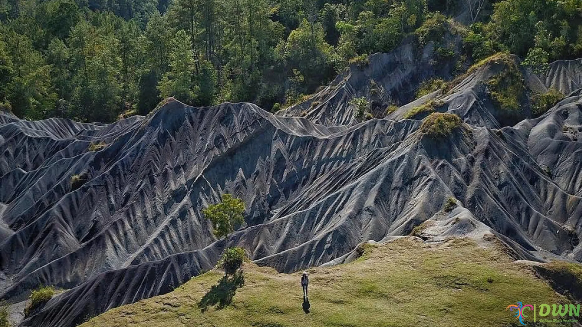 Bukit Pasir: 5 Hal yang Membuat Destinasi Ini Begitu Istimewa