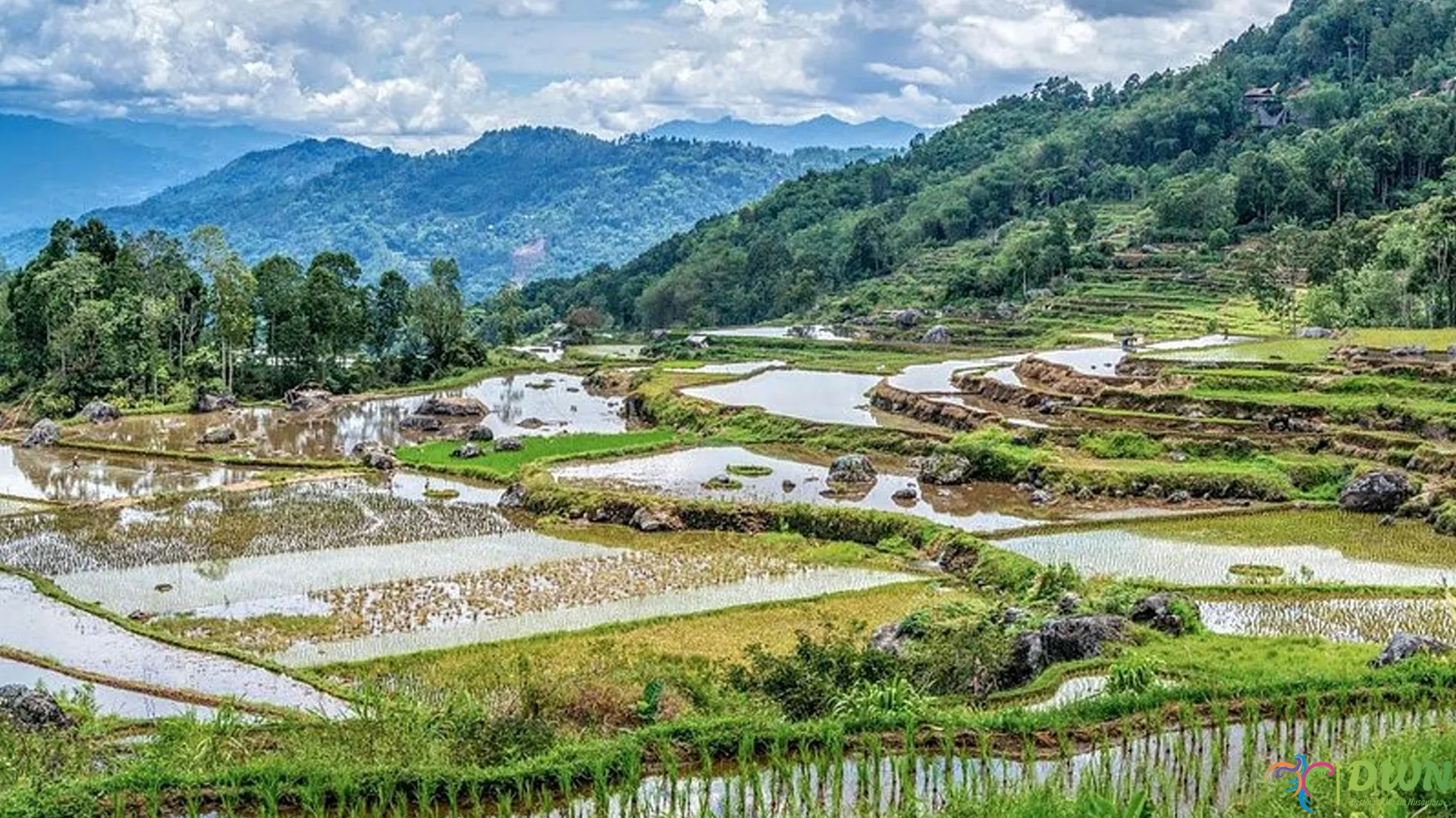 Kebiasaan Batutumonga yang Unik Terlihat dalam 4 Aktivitas Harian