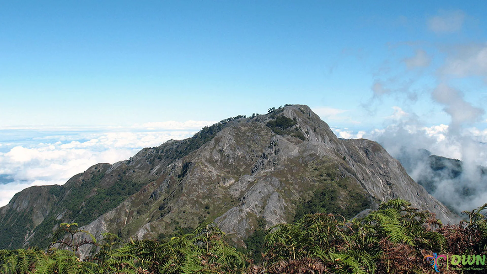 Pesona Gunung Binaia: 5 Tempat yang Menyihir Para Petualang