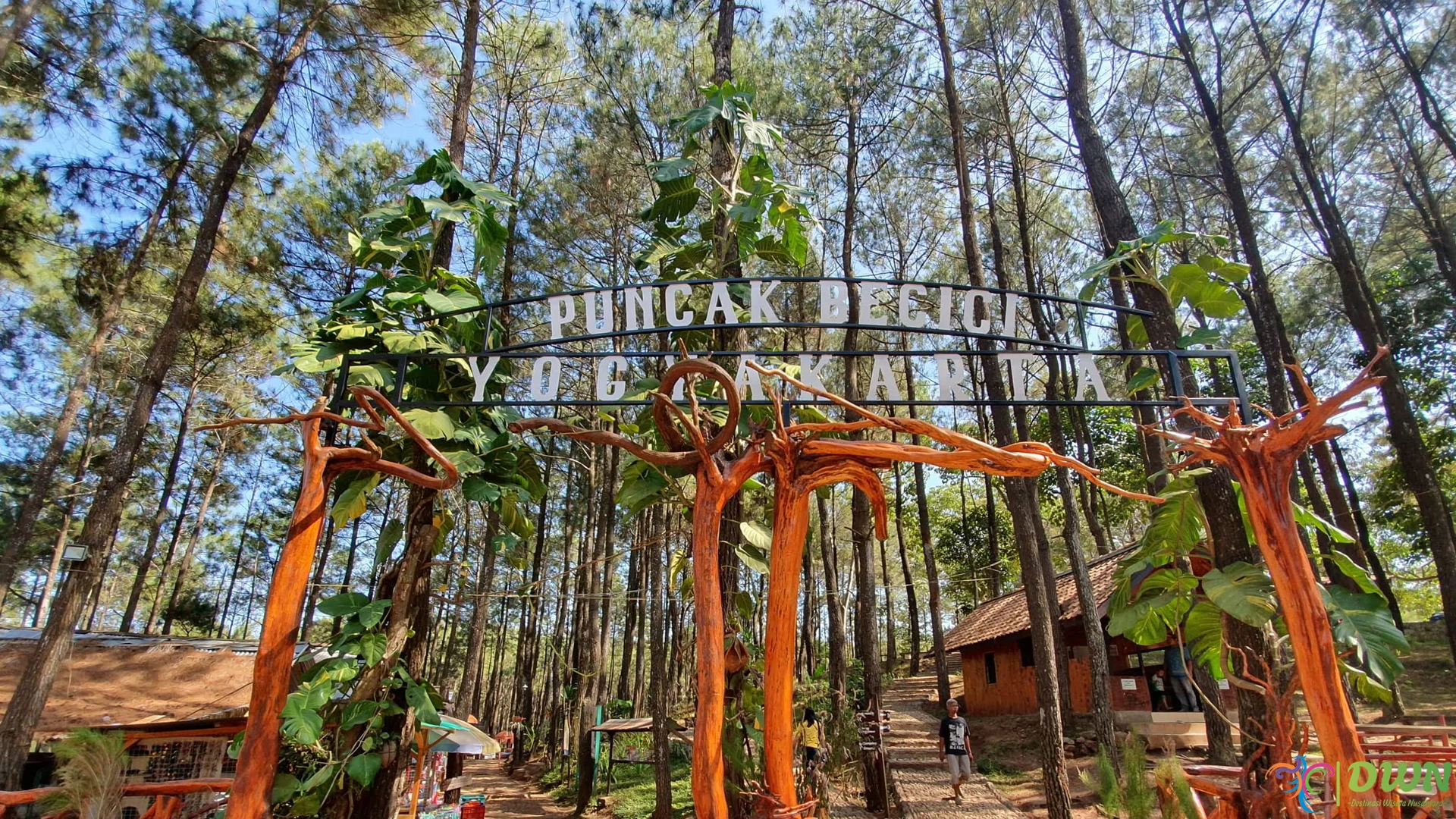 Puncak Pinus Becici: 4 Hal Menarik yang Harus Kamu Ketahui