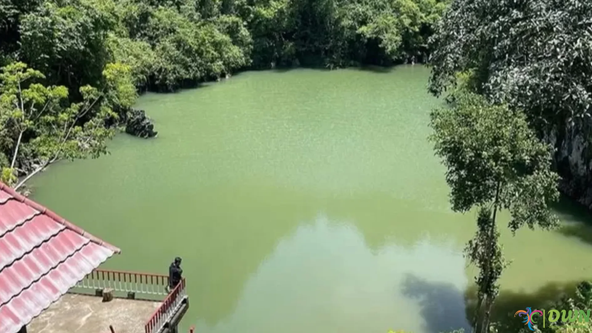 5 Pesona Memukau yang Bisa Kamu Nikmati di Danau Limbong