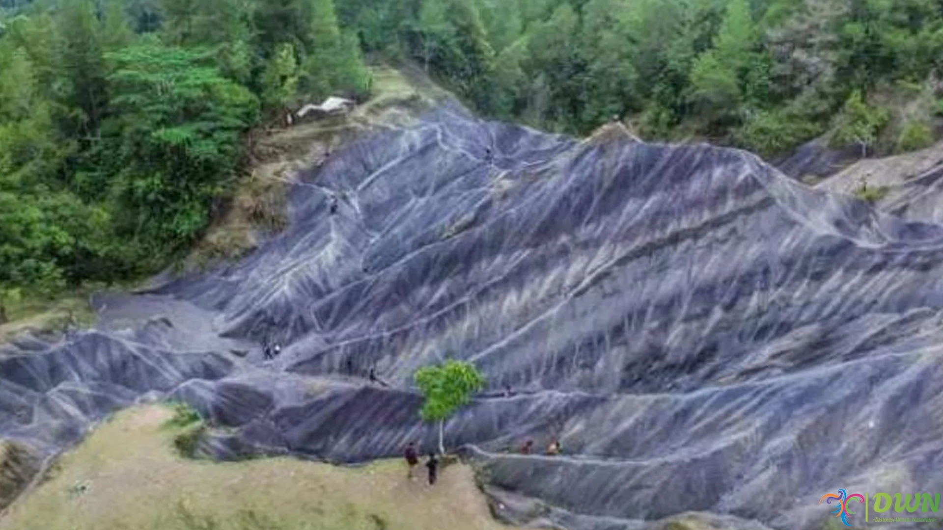 Bukit Pasir: 5 Hal yang Membuat Destinasi Ini Begitu Istimewa