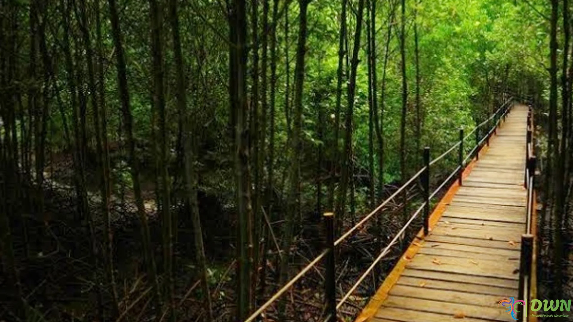 4 Hal Menarik yang Akan Kamu Temui di Bandar Bakau Dumai