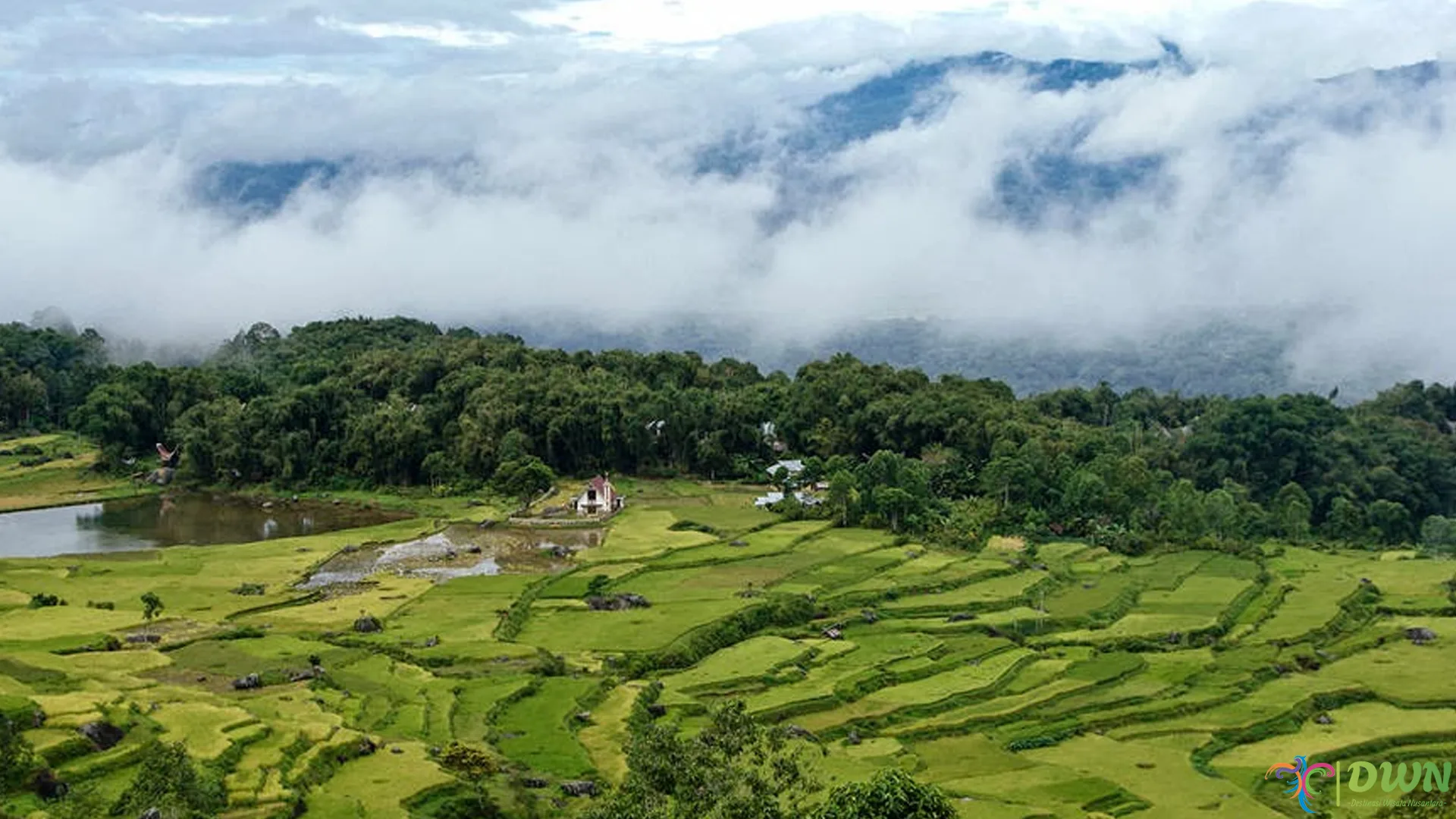 Kebiasaan Batutumonga yang Unik Terlihat dalam 4 Aktivitas Harian