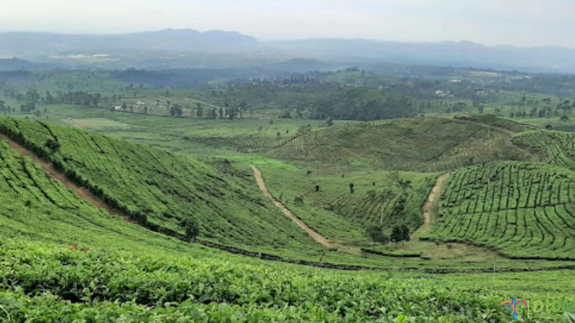 Bukit Santiong: 5 Spot Paling Epik Buat Foto Keren dan Viral