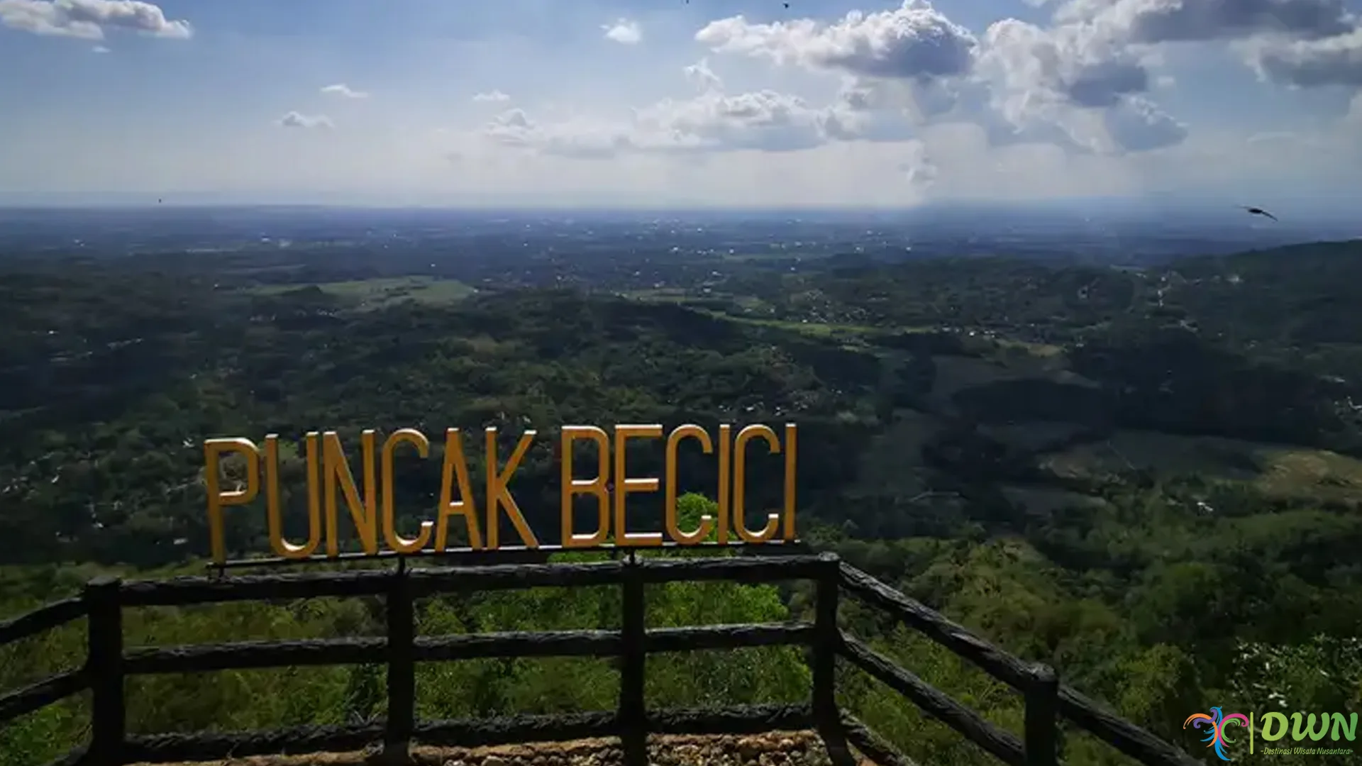 Puncak Pinus Becici: 4 Hal Menarik yang Harus Kamu Ketahui