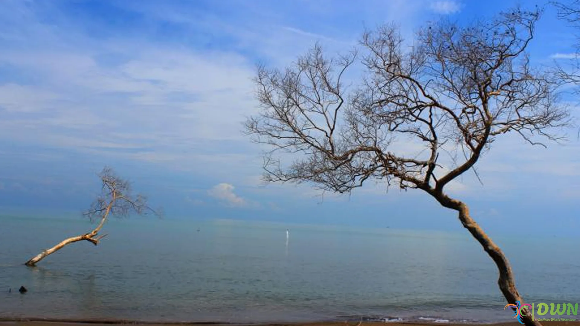 Pantai Cirewang Teluk Sidaon: 5 Daya Tarik Terbaik Wisatawan