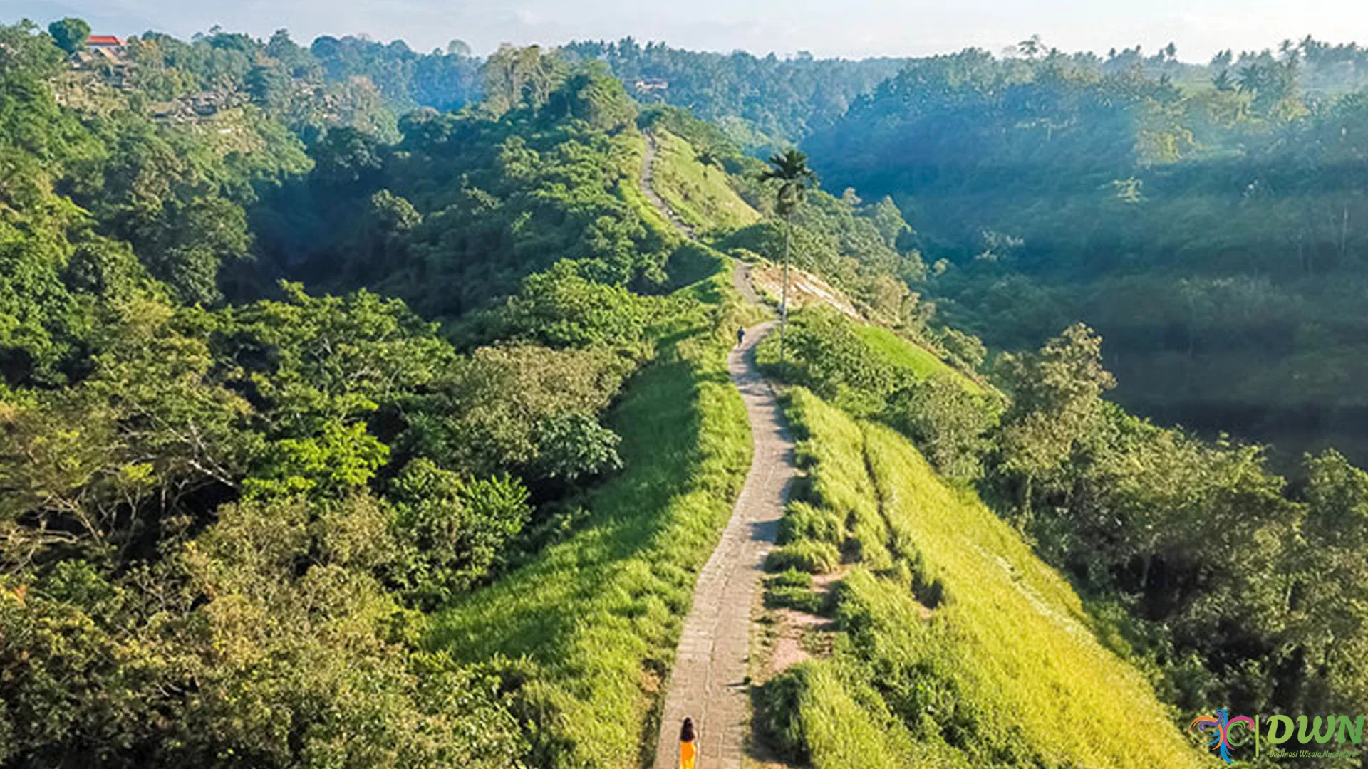 5 Alasan Wisatawan Pilih Campuhan Ridge Walk Sebagai Destinasi Santai