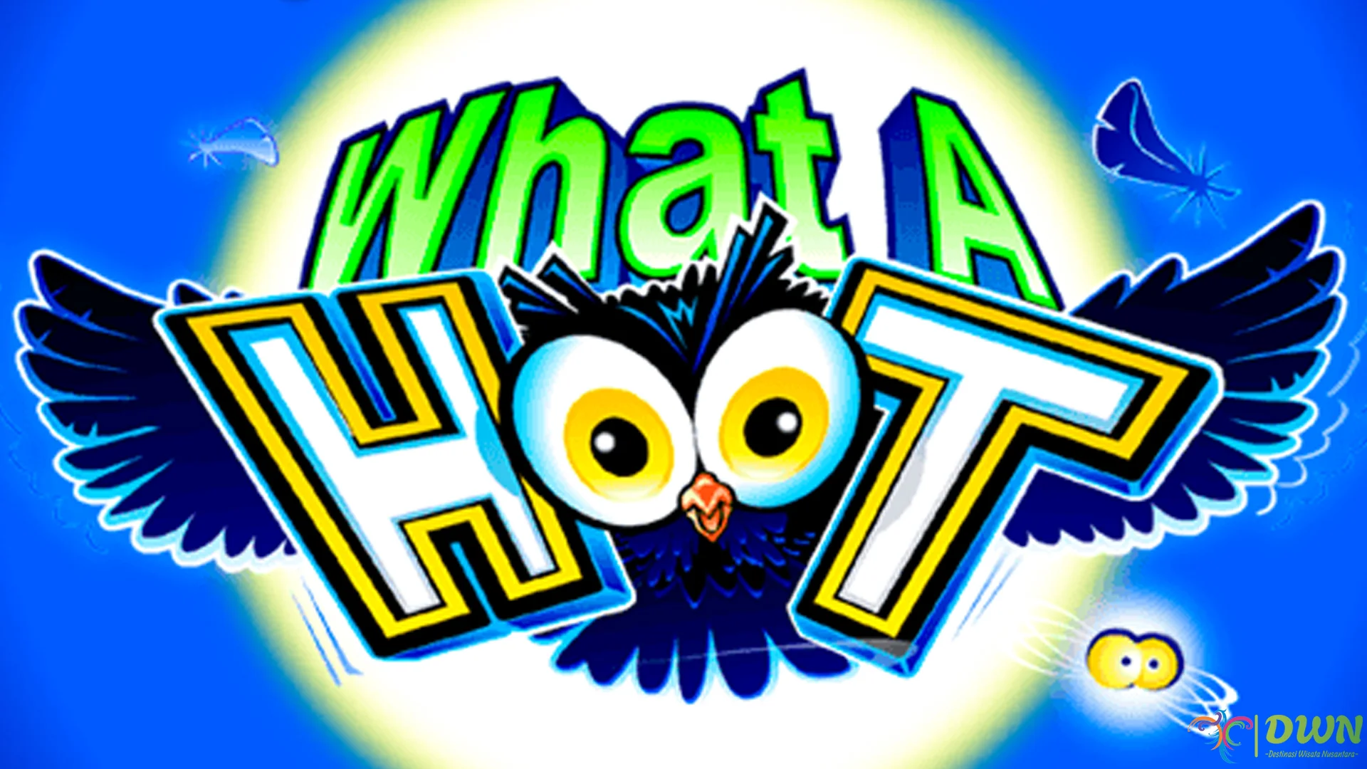 What A Hoot Taktil: Getaran Super yang Bukan Cuma 1 Sensasi Biasa