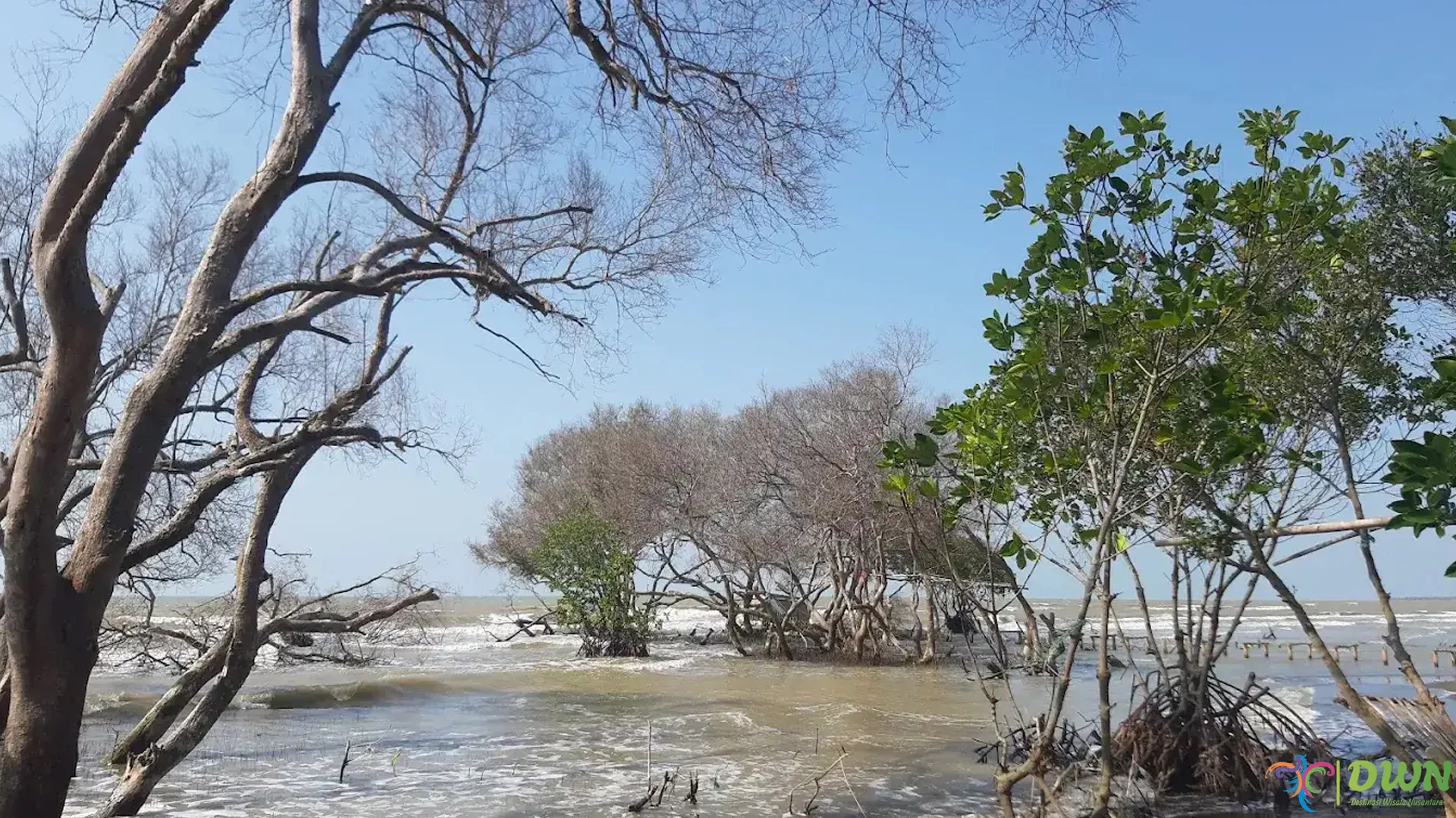 Pantai Cirewang Teluk Sidaon: 5 Daya Tarik Terbaik Wisatawan