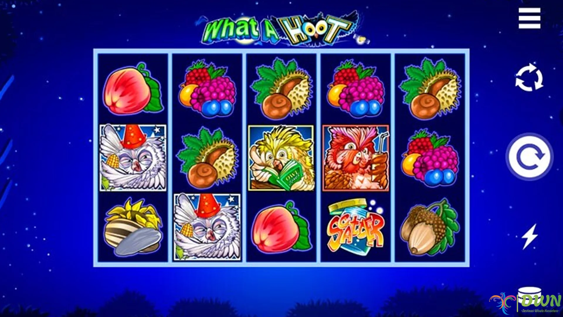 What A Hoot Taktil: Getaran Super yang Bukan Cuma 1 Sensasi Biasa