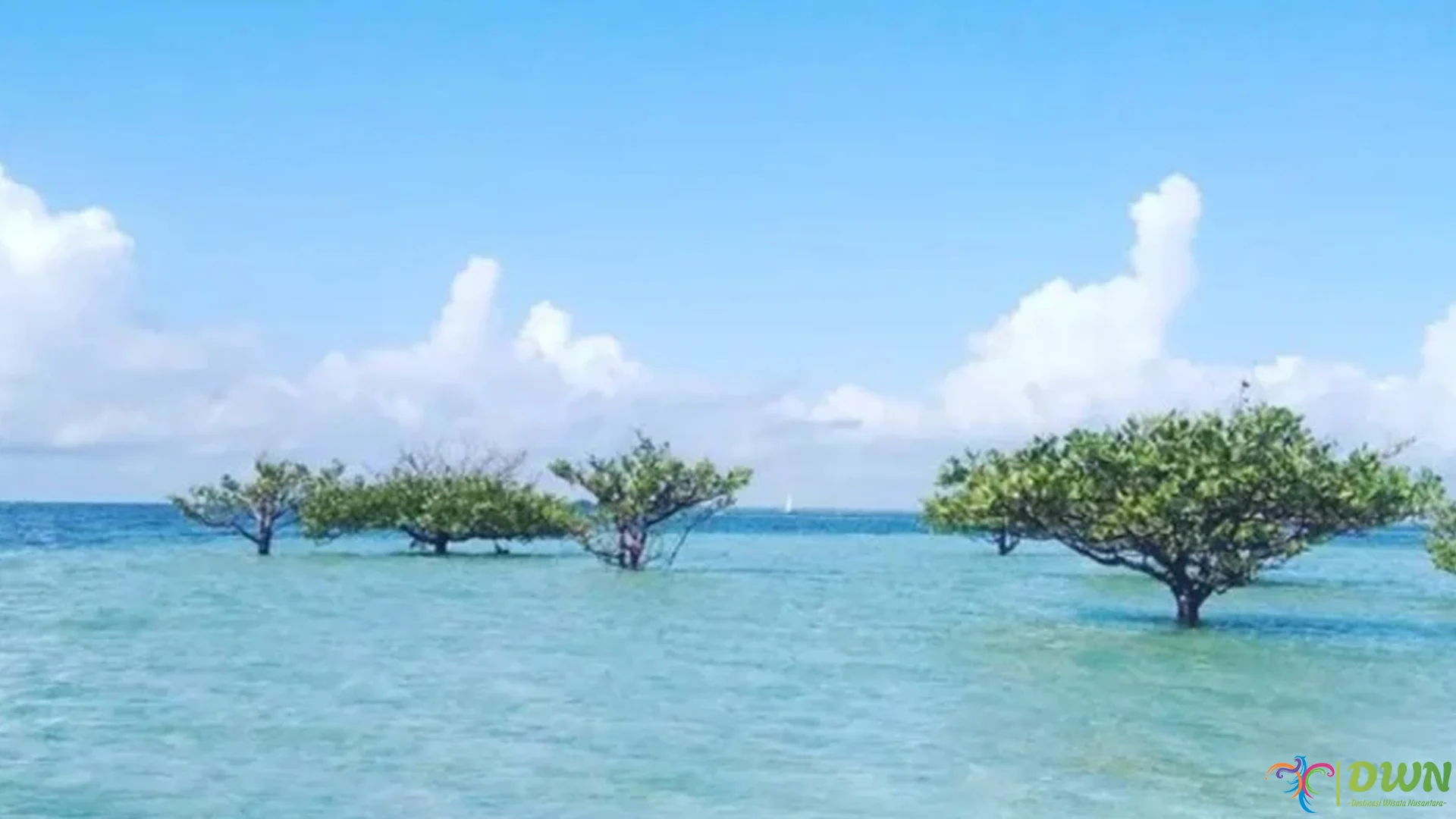 5 Fakta Menarik Tentang Wisata Pulau Segajah yang Jarang Diketahui