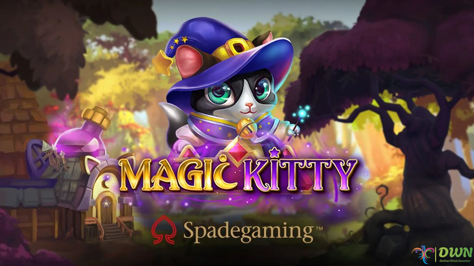 Bukan Kucing Biasa Dengan 5 Daya Tarik Magic Kitty Spesial