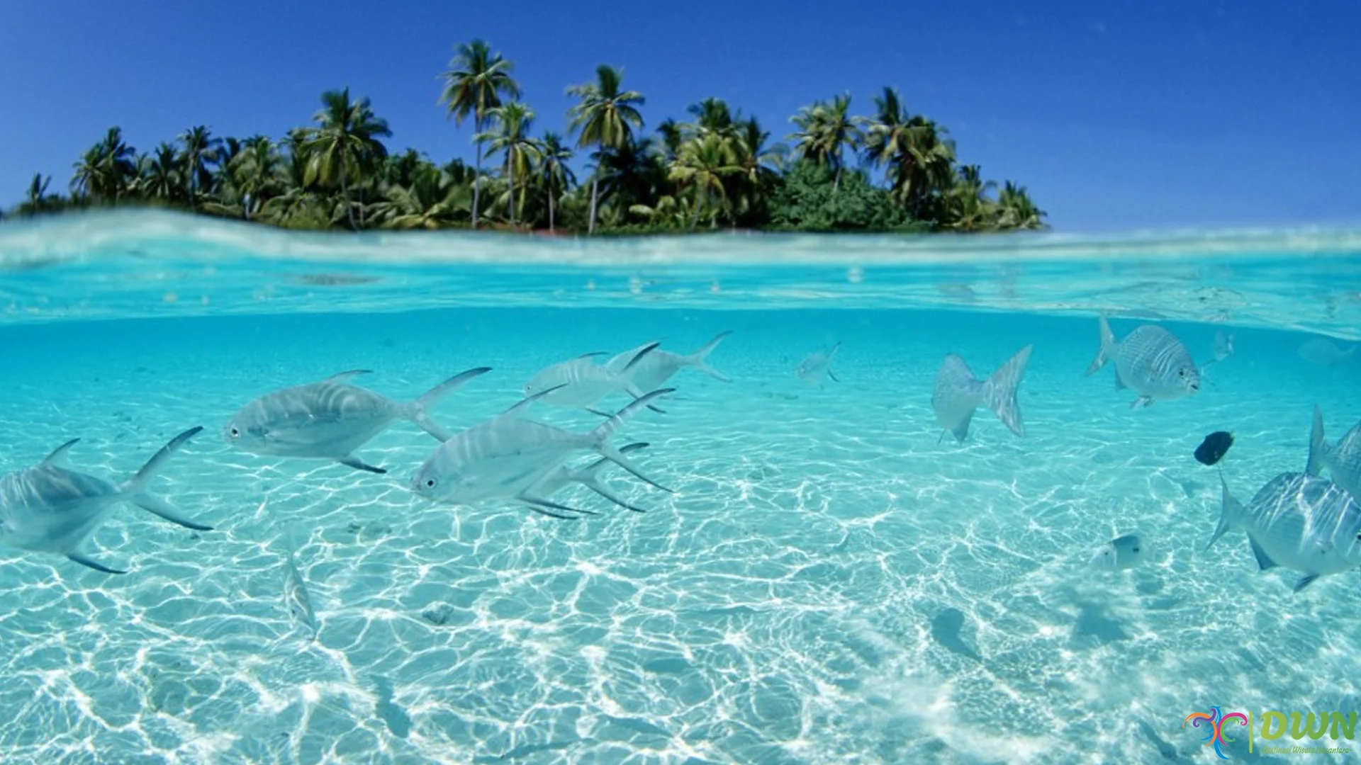 Wisata Pulau Selayar 5 Keajaiban Alam Yang Menjadi Favorit Para Pelancong