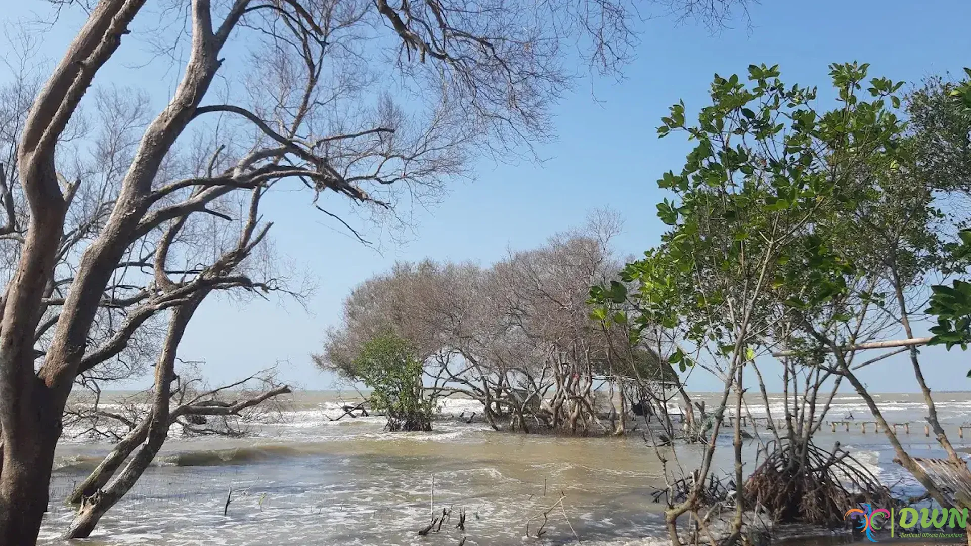 Pantai Cirewang 3 Spot Terbaik Untuk Foto Dan Nikmati Sunset Indah