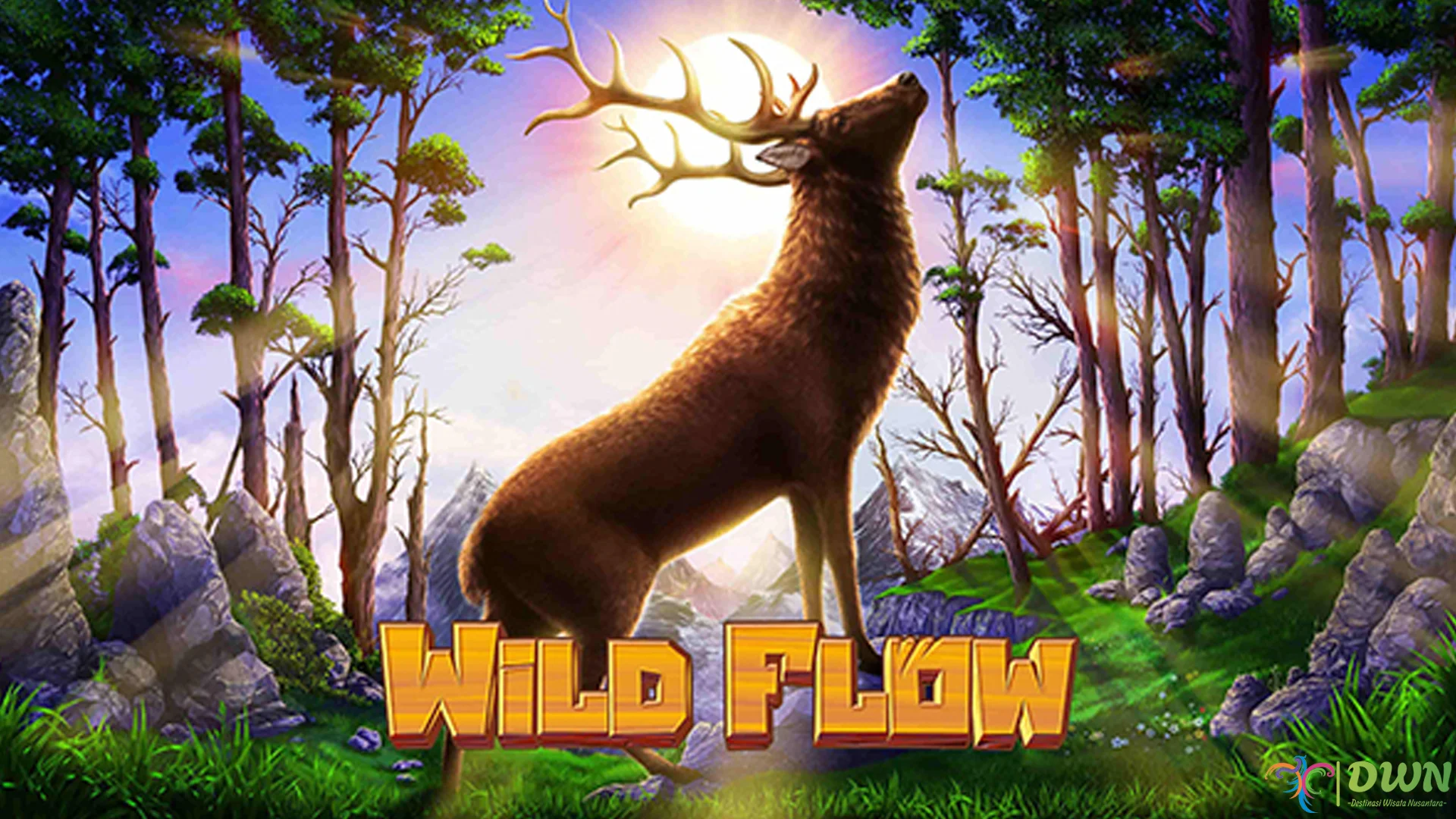 Wild Flow Bawa 4 Pola Progression Asli yang Sering Tidak Disadari