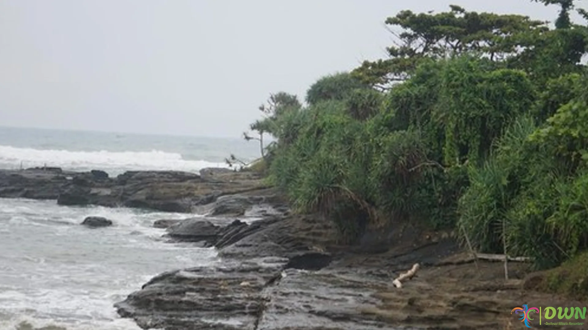 Wisata Pantai Taman Manalusu 3 Spot Snorkeling Terbaik untuk Pecinta Laut