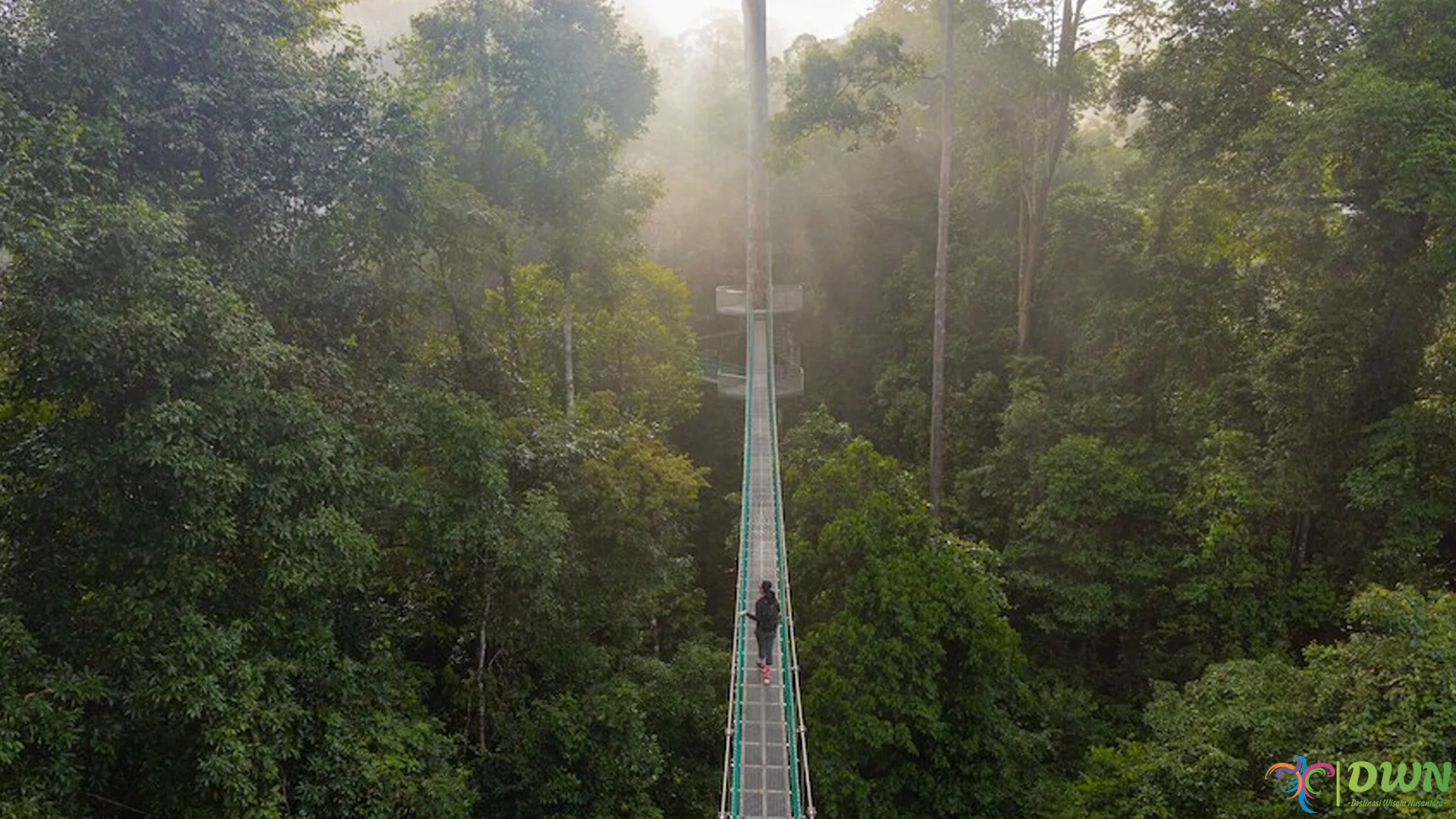 Lembah Danum Jadi 1 Surga Tersembunyi Kalimantan