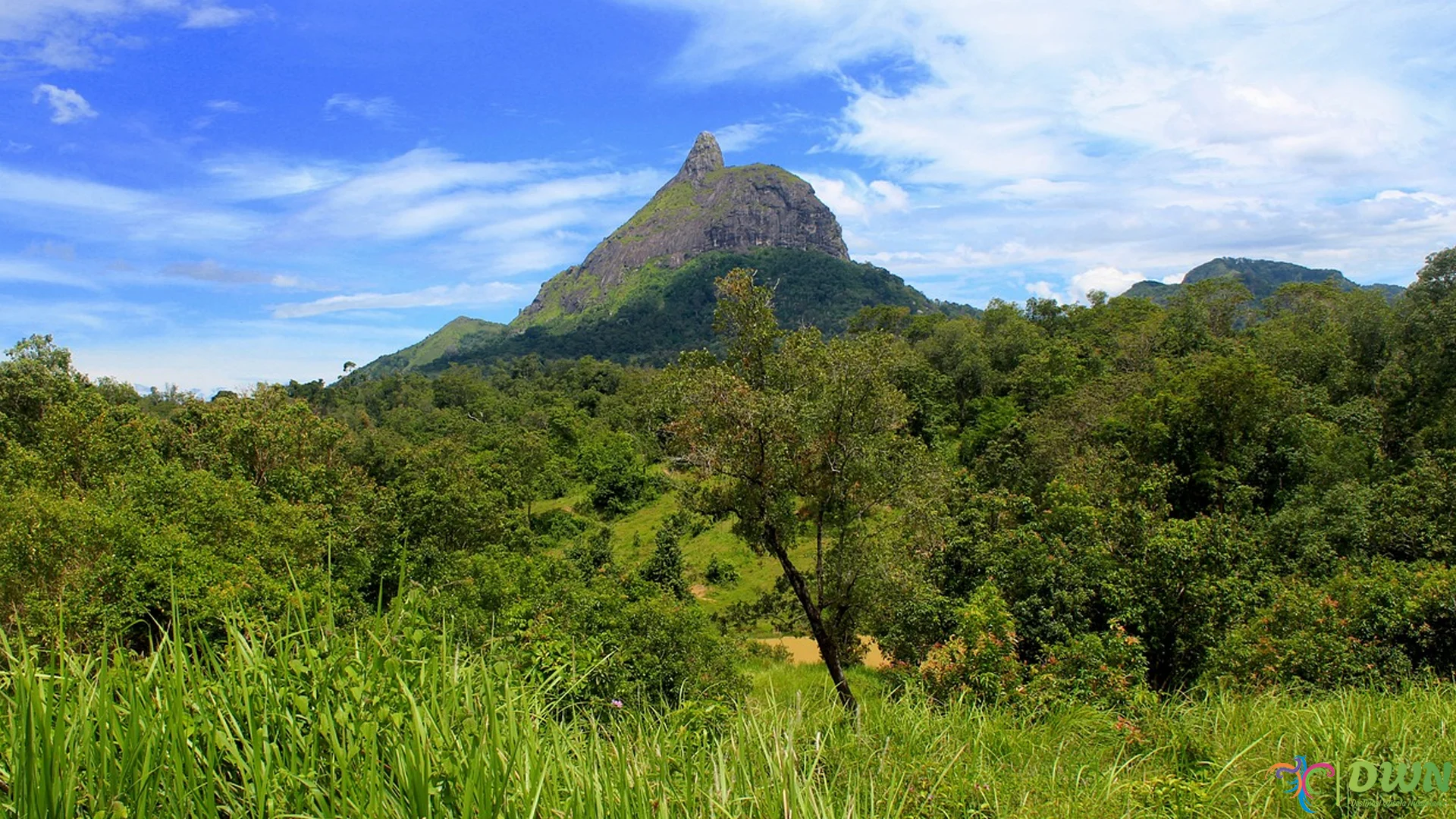 Bukit Serelo Punya 5 Pesona Alam yang Bikin Terpana Banget