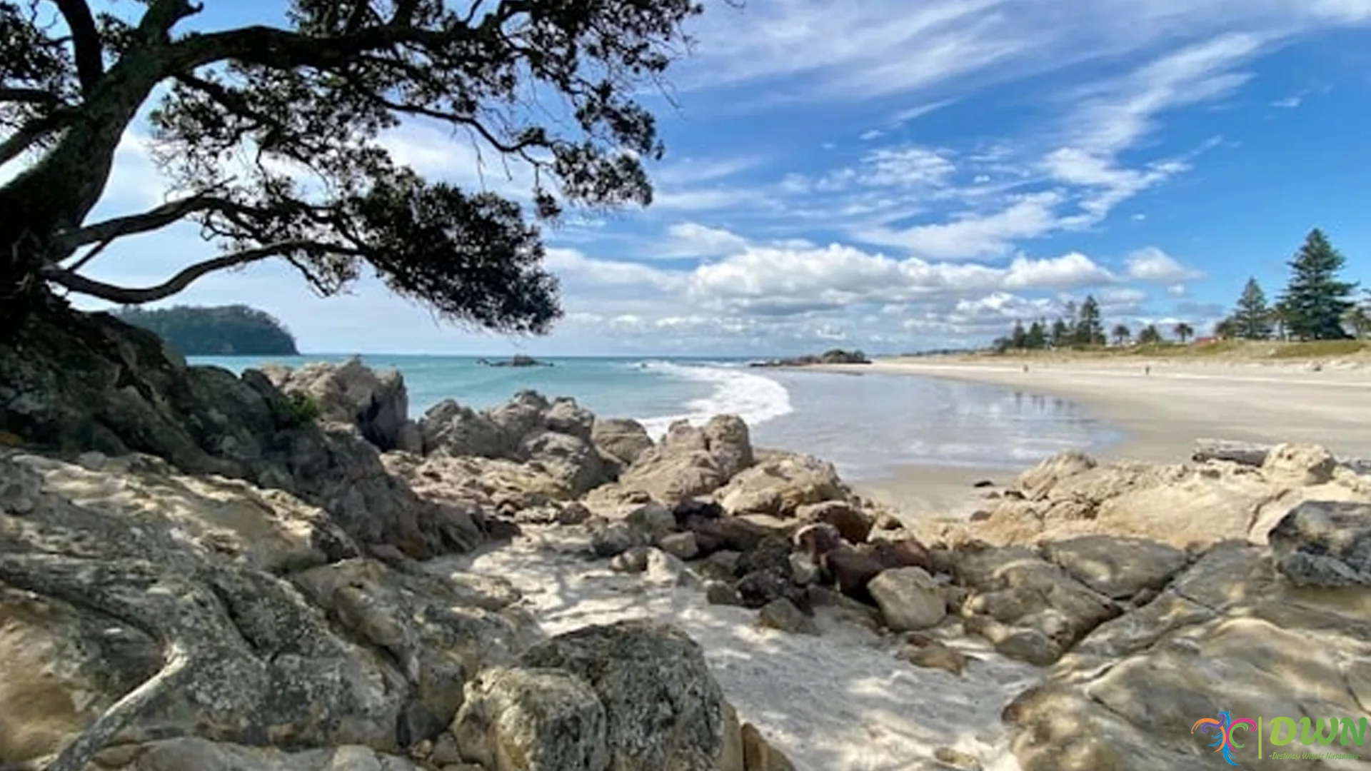 Wisata Pantai Taman Manalusu 3 Spot Snorkeling Terbaik untuk Pecinta Laut