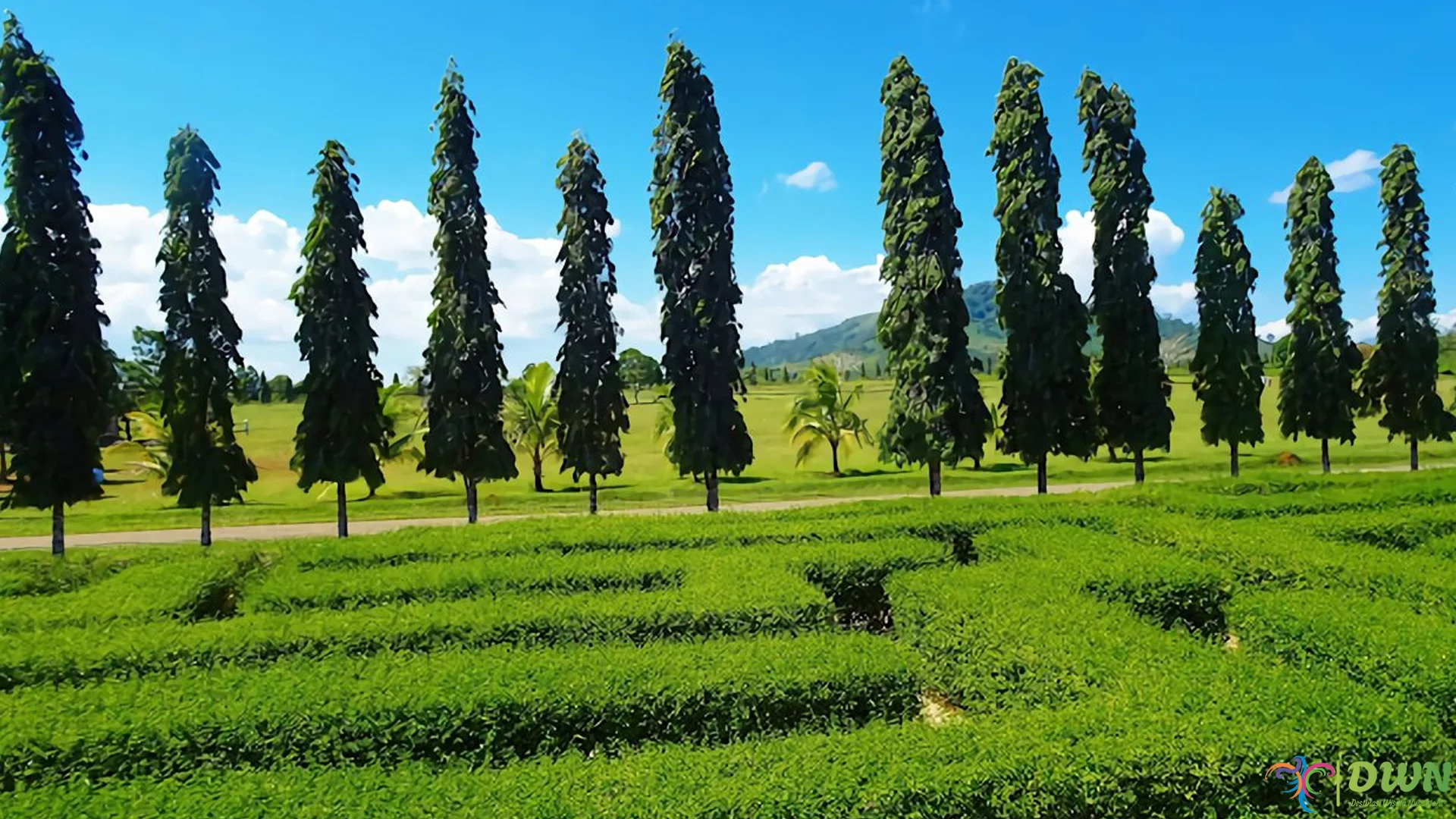 Taman Labirin Pelaihari 4 Tiket Masuk Murah Meriah